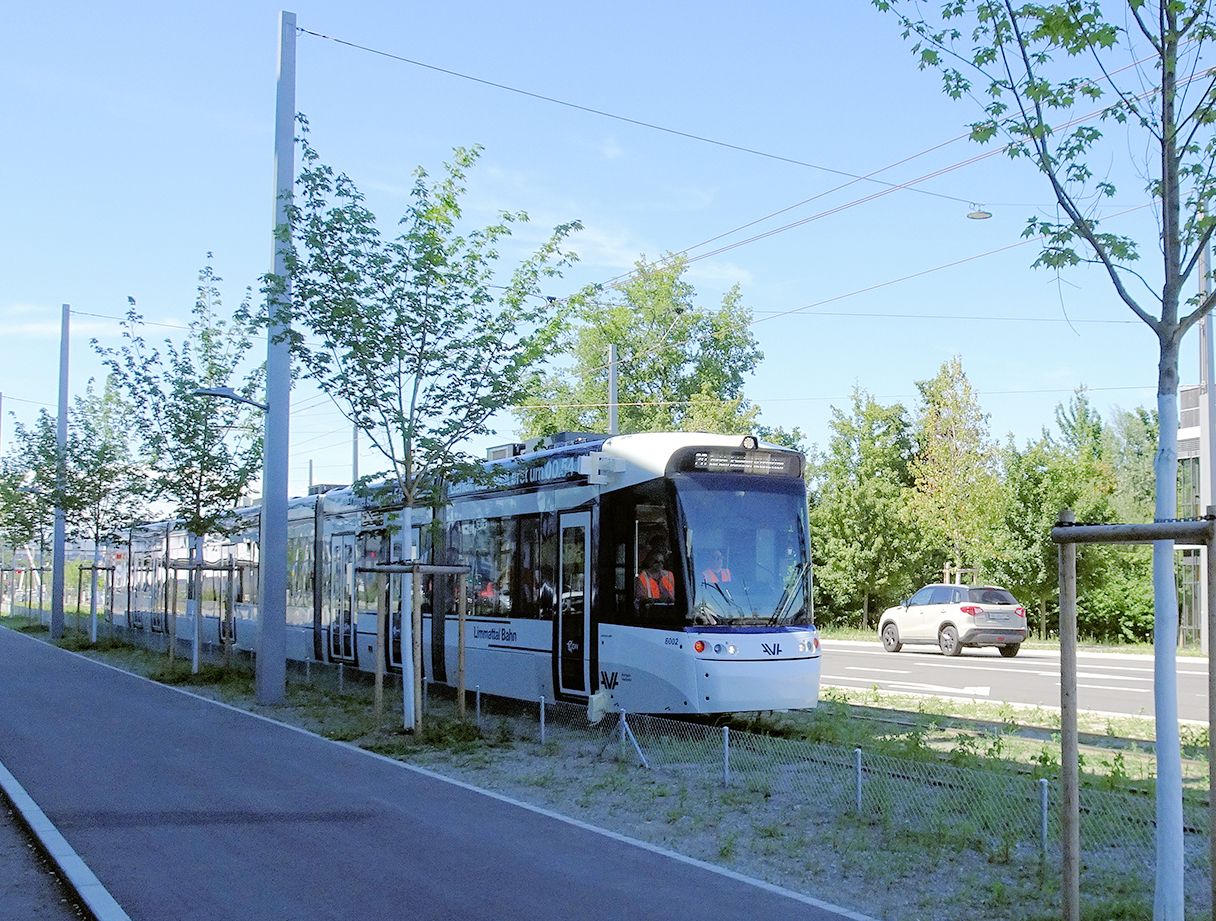 Eine moderne Straßenbahn fährt auf einer eigens dafür vorgesehenen Strecke, die von jungen Bäumen gesäumt und von Sicherheitszäunen umgeben ist. Der Himmel ist klar und parallel zur Strecke der Straßenbahn verläuft eine befahrene Straße. Das Gebiet wirkt städtisch mit einer Mischung aus natürlicher und bebauter Umgebung.